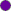 purple divider